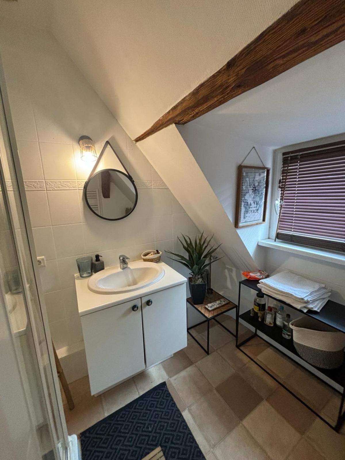 Charmant Appartement Proche Strasbourg A Eckwersheim Exterior photo