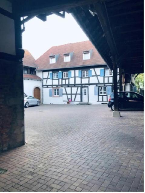 Charmant Appartement Proche Strasbourg A Eckwersheim Exterior photo